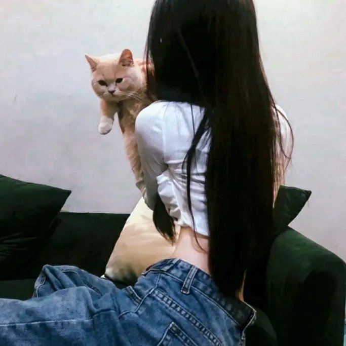 碧水美人鱼 在线观看