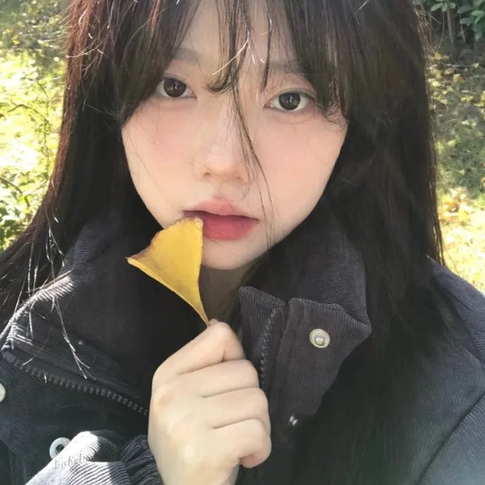 少主且慢行第二季 在线观看